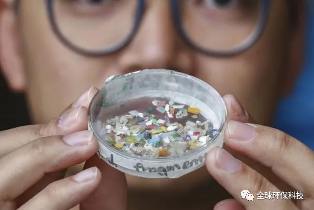 關(guān)于“微塑料”的危害，你了解多少？